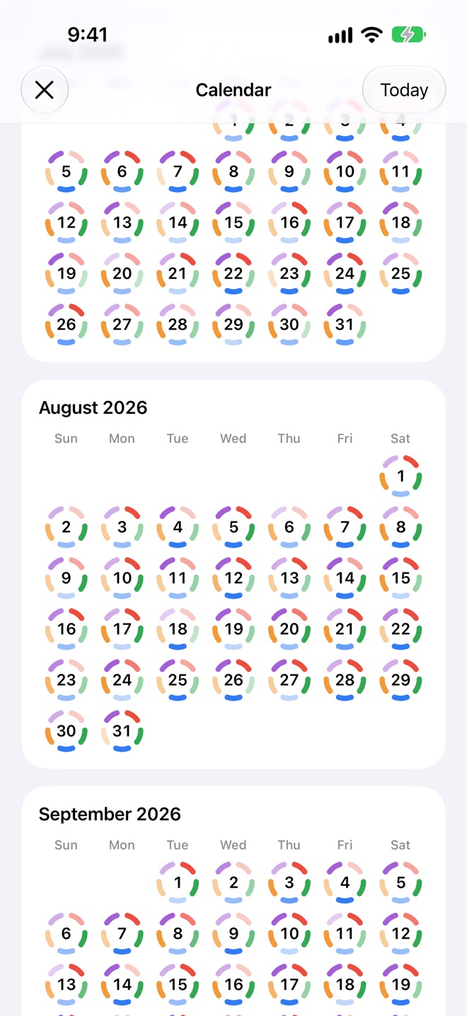 The calendar: months of days, each a ring of five coloured arcs